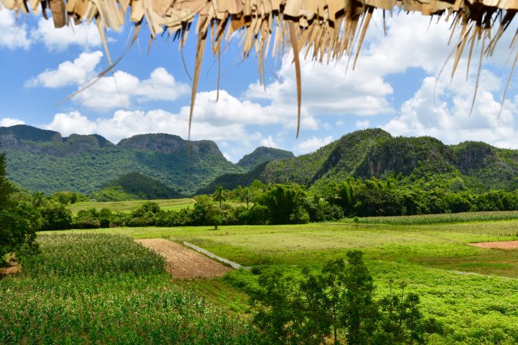 Viñales Cuba