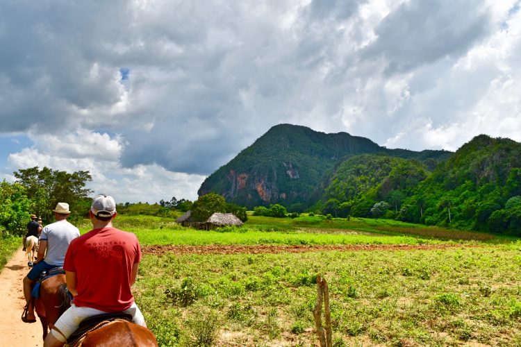 Horseback riding in Viñales