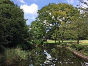 Tokyo Imperial Palace Gardens