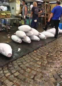 Giant frozen tuna at Tsukiji Fish Market