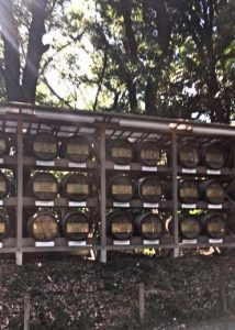 Saki at Meiji Shrine