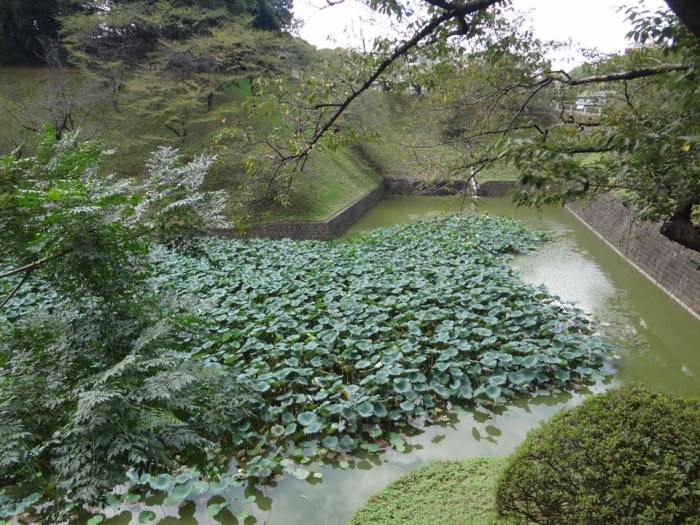 Tokyo Imperial Palace Gardens