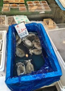 Tsukiji Fish Market