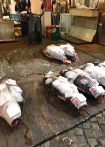 Giant tuna covered in dry ice at Tsukiji Fish Market