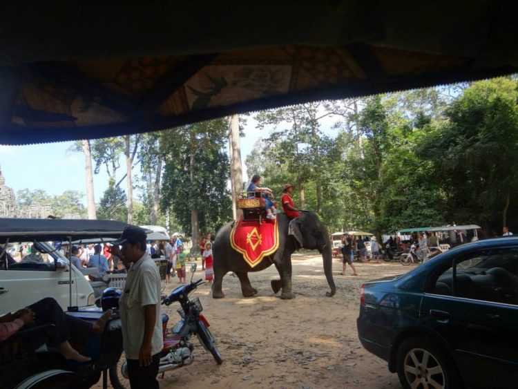 tourist ride an elephants in Cambodia