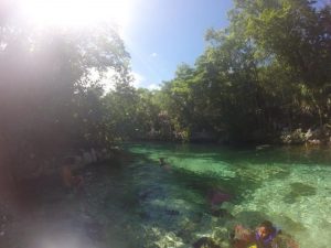 Tulum Cenote
