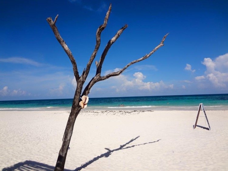 Tulum, Mexico's Best Kept Secret...Until Now