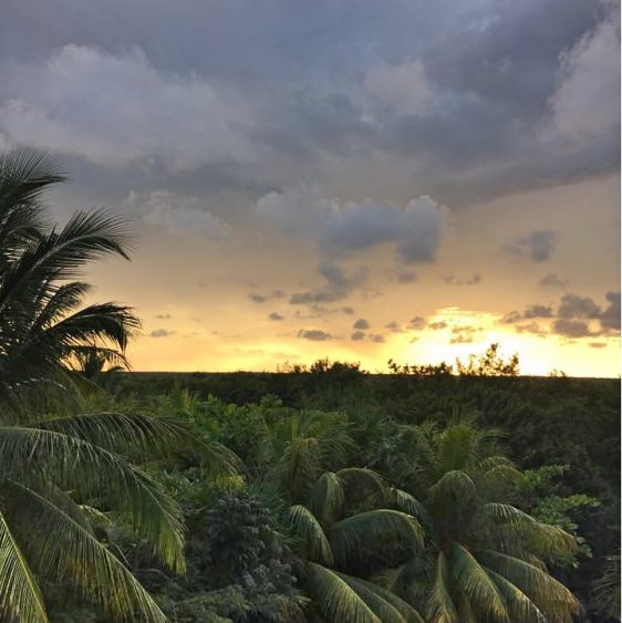 Sunset from Mateos in Tulum
