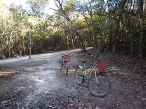 Coba Mayan ruins