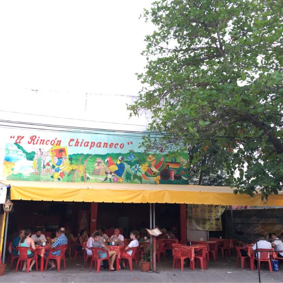 El Rincon Chiapaneco