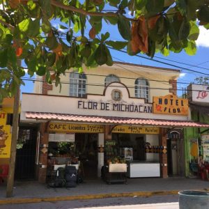 Campanella Cremerie and Flor de Michoacan