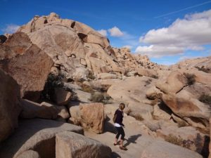 Joshua Tree National Park, California