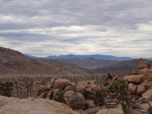 Joshua Tree National Park, California