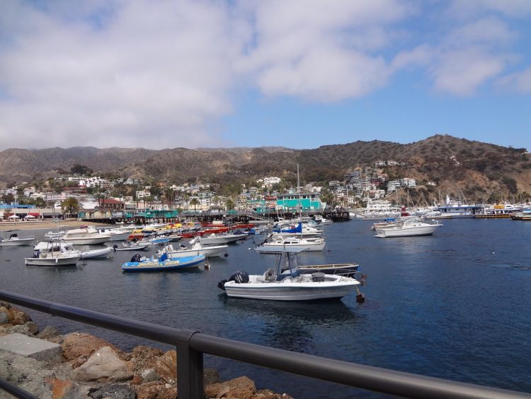 Avalon Harbor