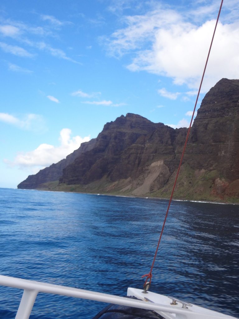 A view Captain Andy's Napali Sunset Sai