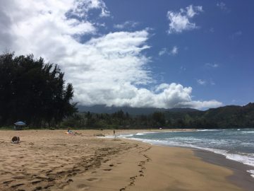 Hanalei Beach Kauai