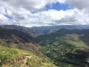 Waimea Canyon on Kauai