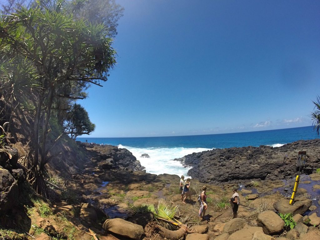 View from Queen's Bath Kauai
