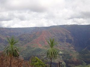 Waimea Canyon on Kauai