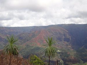 Waimea Canyon on Kauai