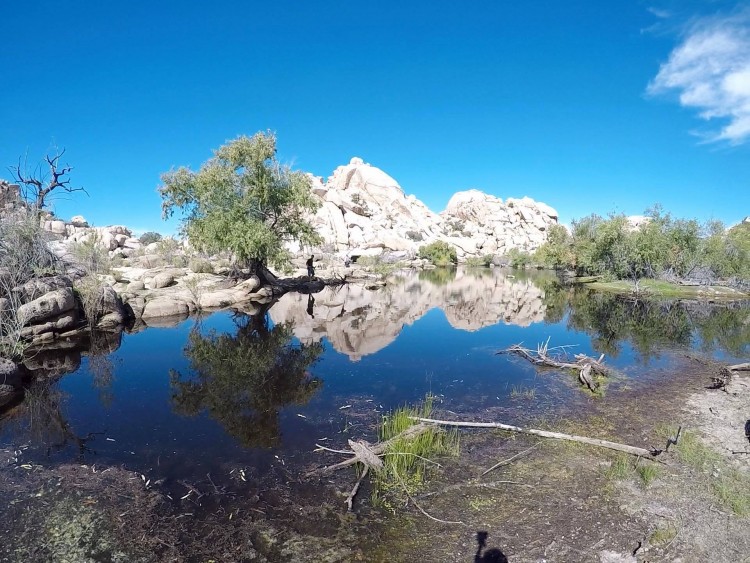 barker dam joshua tree