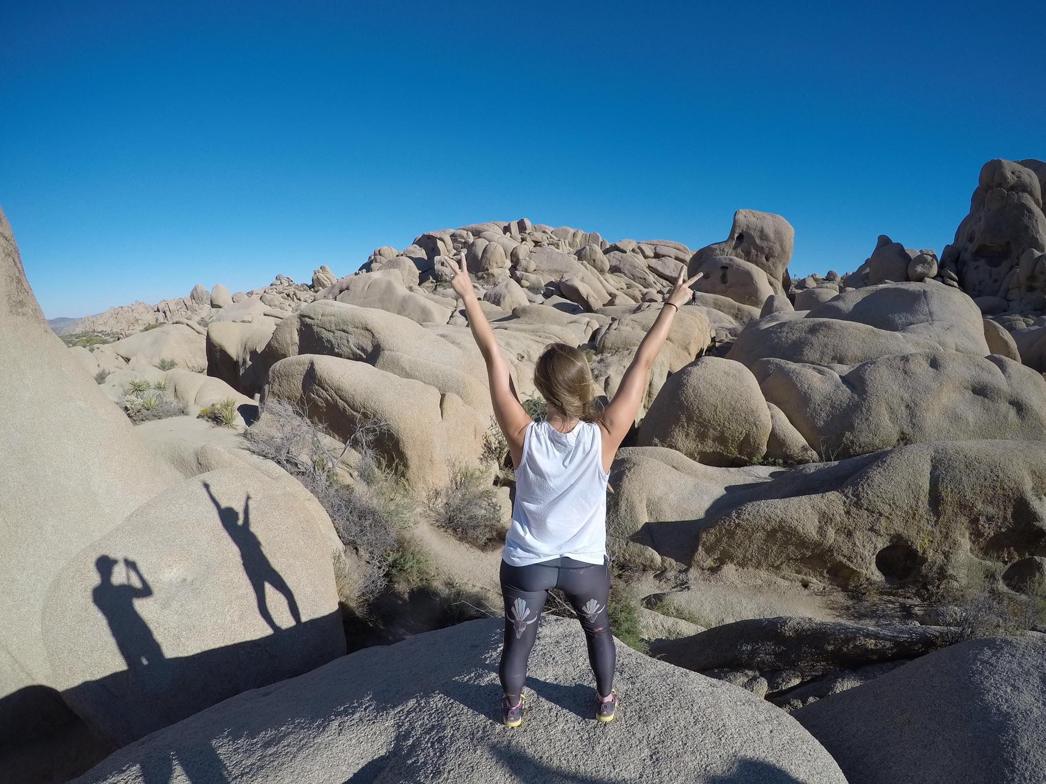 joshua tree california