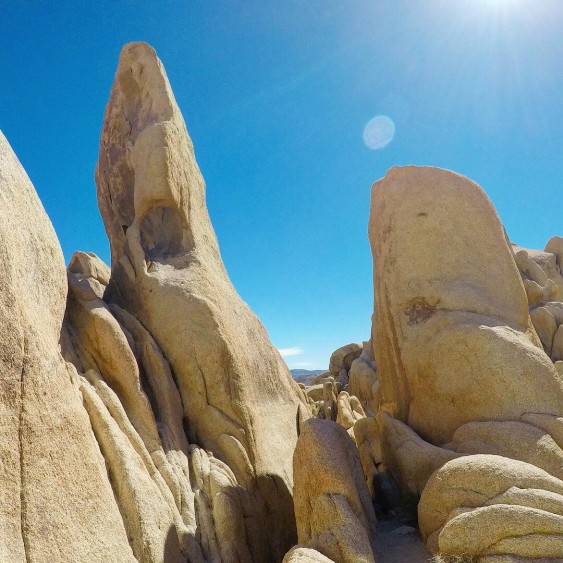 joshua tree california rocks