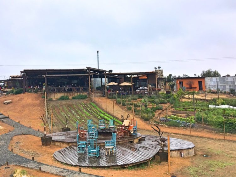 Finca Altozano Valle de Guadalupe