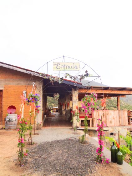 Cieli Valle de Guadalupe