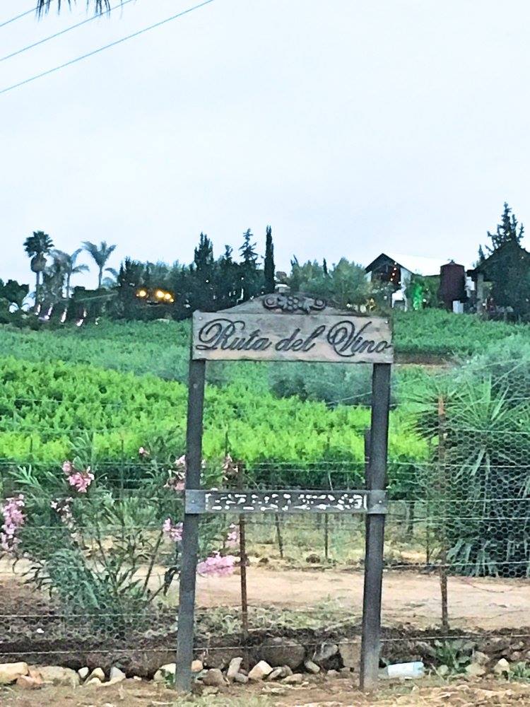 ruta del vino