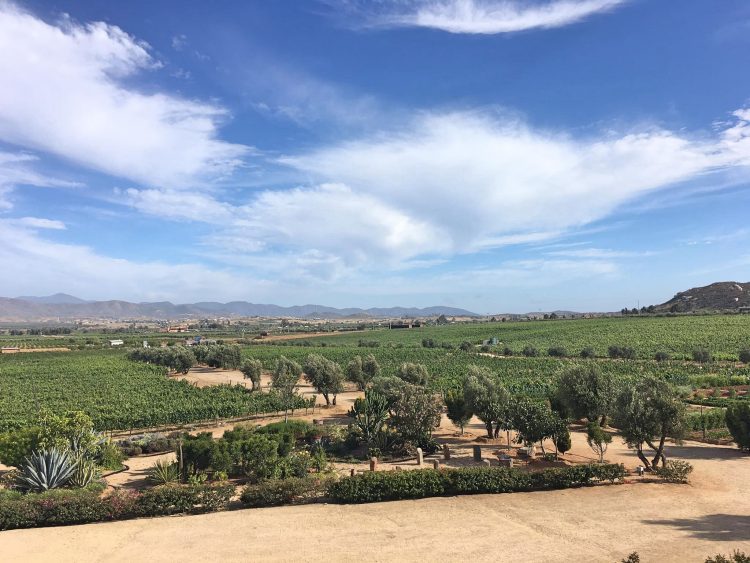 view from finca la carodilla