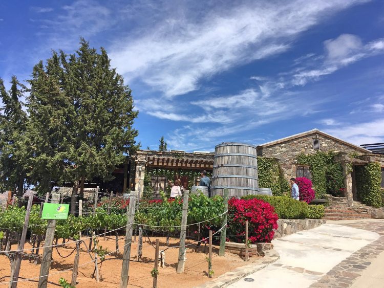 vinas de garza winery