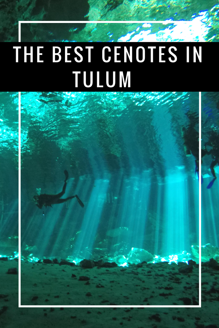 Check out our guide on the best cenotes for snorkeling and diving in Tulum, Mexico. Explore the best cenotes in Tulum. #Tulum #Mexico #TulumScuba #TulumSnorkel #Tulumcenote #cenote #cavedive #cenotesnorkel 