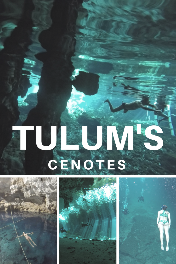 Check out our guide on the best cenotes for snorkeling and diving in Tulum, Mexico. Explore the best cenotes in Tulum. #Tulum #Mexico #TulumScuba #TulumSnorkel #Tulumcenote #cenote #cavedive #cenotesnorkel 