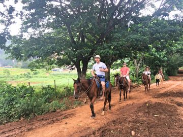 Viñales horses back riding