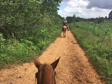Horseback riding in Viñales