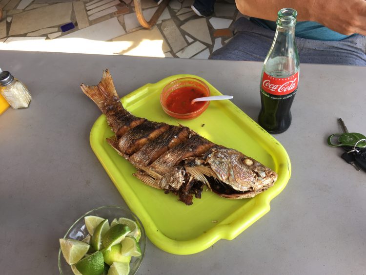 Lunch in Popotla fishing village