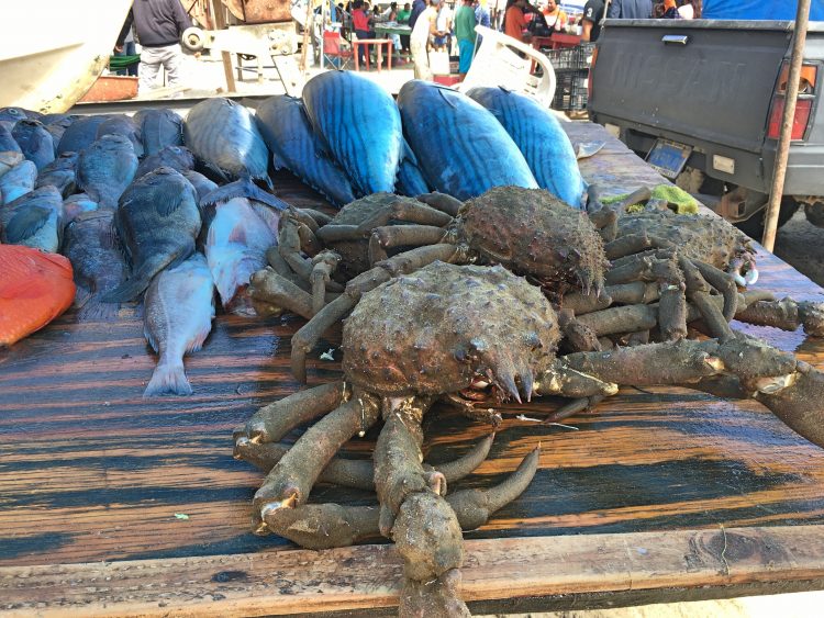 Stone crabs for sale in Popotla