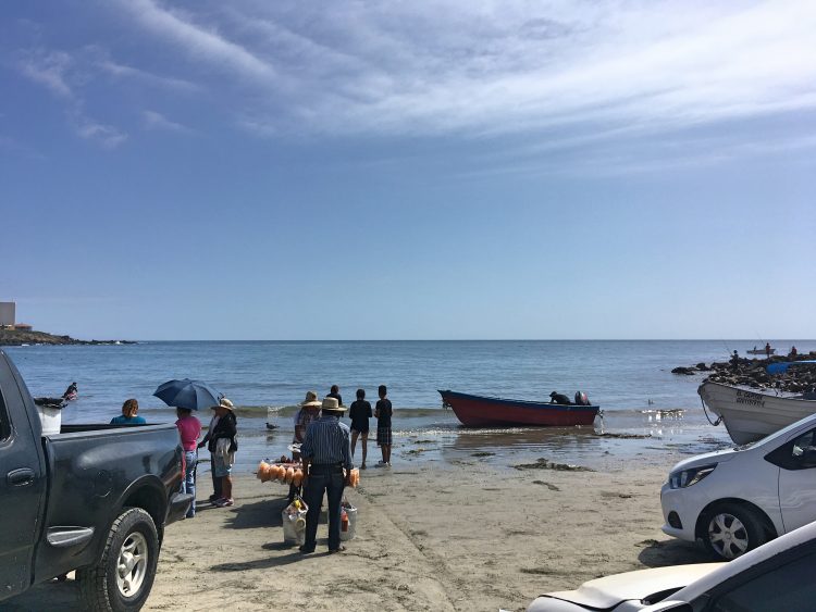 Popotla: Baja's Secret Fishing Village