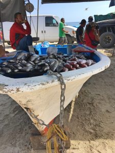 fishing boat Poptla