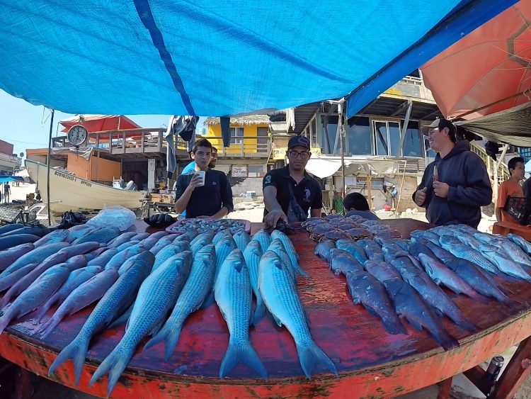 Popotla fishing village Mexico