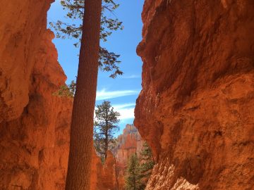 bryce cenyon national park