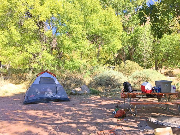 Camping at Zion National Park