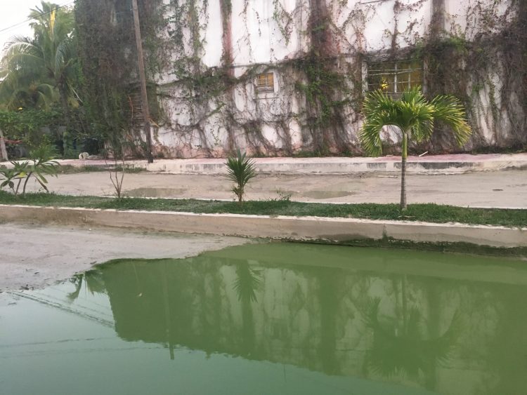 isla holbox sewage