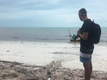 sewage holbox