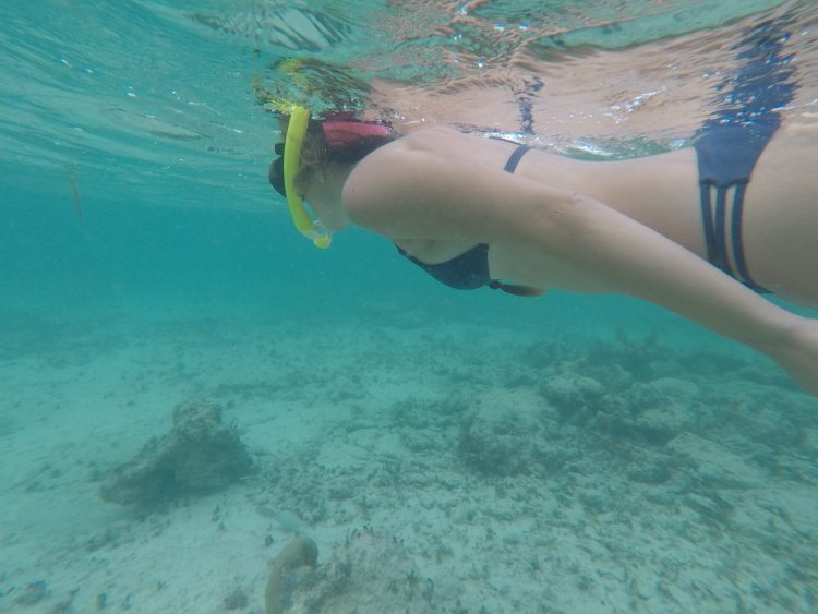 snorkeling soliman bay