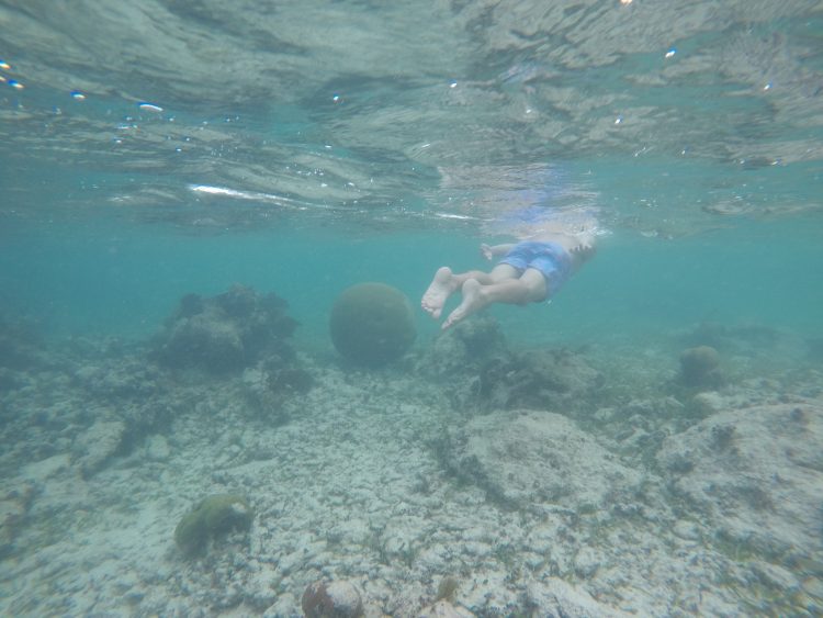 soliman bay snorkeling