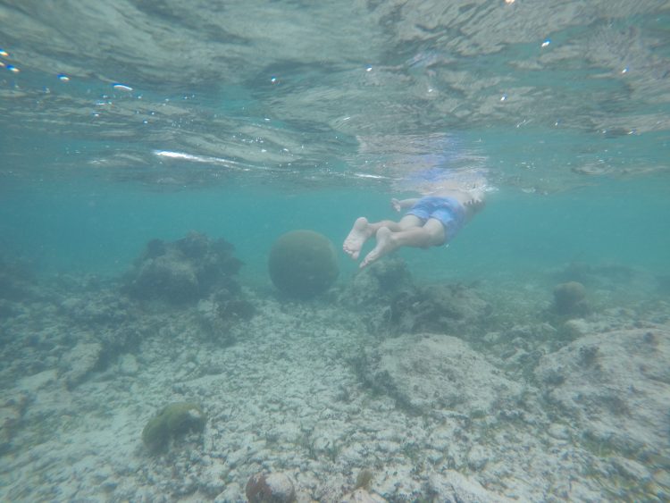 soliman bay snorkeling