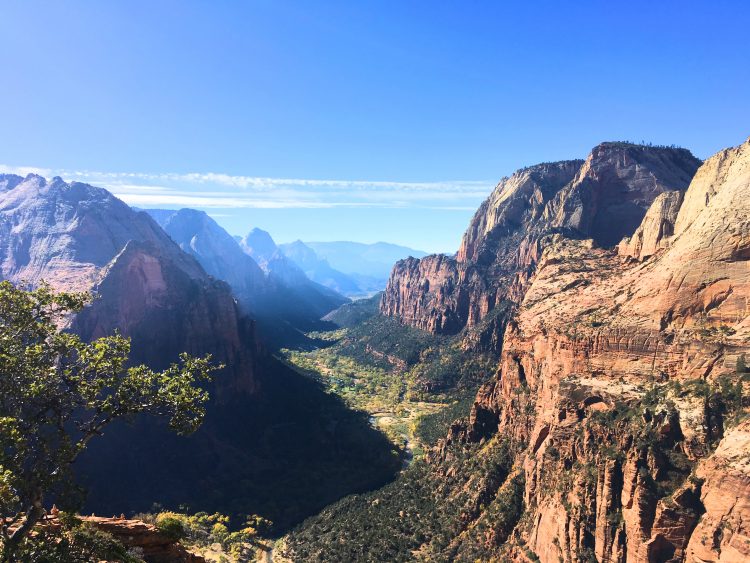 Zion during a Cross Country Road Trip