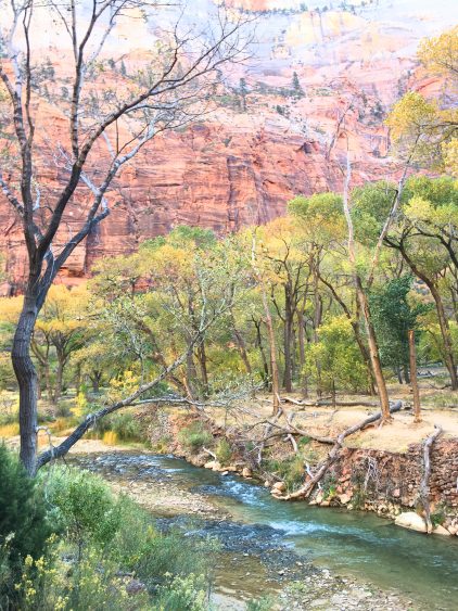 zion in the fall